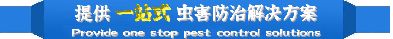 ϷͼƬ